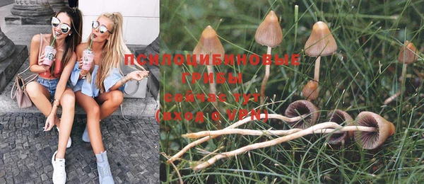 тгк Медногорск