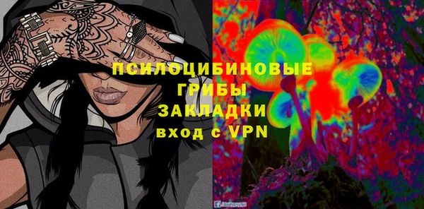 герыч Мегион