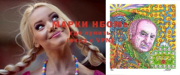 прущие грибы Белая Холуница